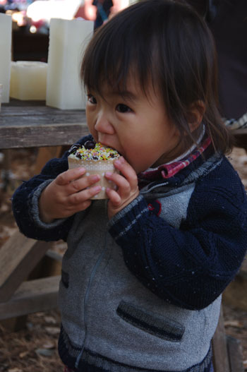 クリスマス電飾キャンプ in 富士吉田 じゃなくて 自宅(涙)