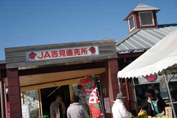クリスマス電飾キャンプ in 富士吉田 じゃなくて 自宅(涙)