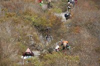 * 紅葉トレッキング 秋の大山を歩く *