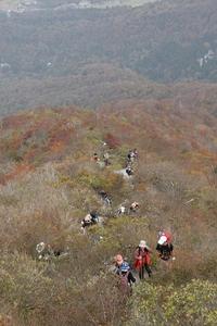 * 紅葉トレッキング 秋の大山を歩く *