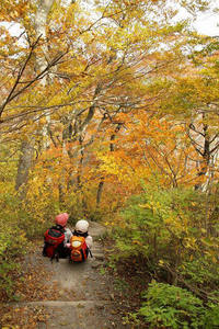 * 紅葉トレッキング 秋の大山を歩く *