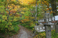 * 紅葉トレッキング 秋の大山を歩く *
