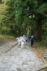 * 紅葉トレッキング 秋の大山を歩く *