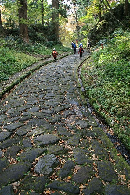 * 紅葉トレッキング 秋の大山を歩く *