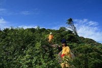 * やっぱり山は晴れがいい * 天狗岳