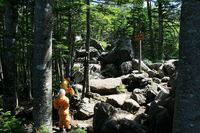 * やっぱり山は晴れがいい * 天狗岳