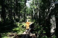* やっぱり山は晴れがいい * 天狗岳