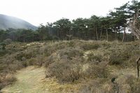 * 韓国岳登山 * 霧島山 九州