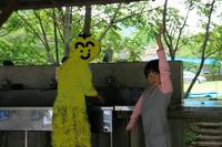 *美山町自然文化村 キャンプ場散策&紹介 * 京都府