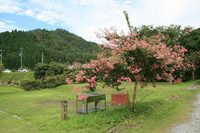 *美山町自然文化村 キャンプ場散策&紹介 * 京都府