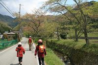 * 縦走 向山連山 * 花の縦走道