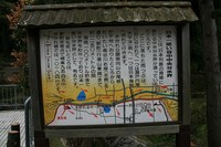 * 縦走 向山連山 * 花の縦走道