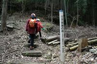 * 縦走 向山連山 * 花の縦走道
