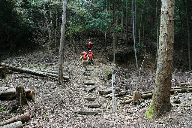 * 縦走 向山連山 * 花の縦走道
