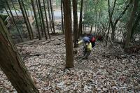 * 縦走 向山連山 * 花の縦走道