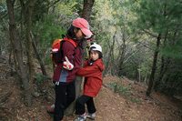 * 縦走 向山連山 * 花の縦走道