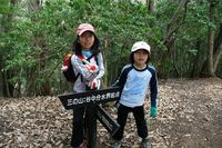 * 縦走 向山連山 * 花の縦走道