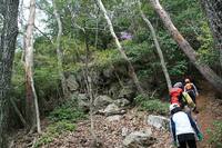 * 縦走 向山連山 * 花の縦走道