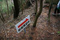 * 縦走 向山連山 * 花の縦走道