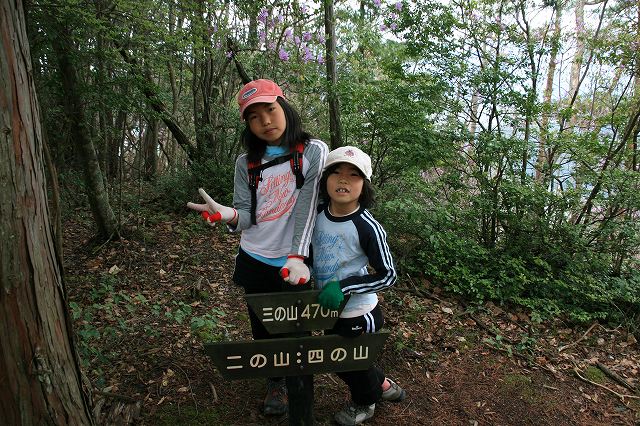 * 縦走 向山連山 * 花の縦走道
