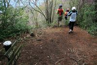* 縦走 向山連山 * 花の縦走道