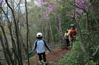 * 縦走 向山連山 * 花の縦走道