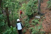 * 縦走 向山連山 * 花の縦走道