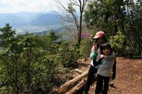 * 縦走 向山連山 * 花の縦走道