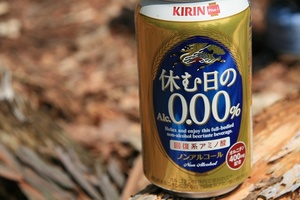 * 縦走 向山連山 * 花の縦走道