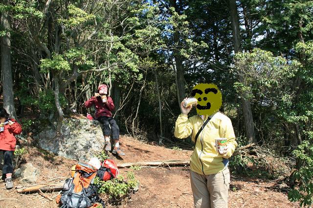 * 縦走 向山連山 * 花の縦走道
