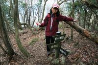 * 縦走 向山連山 * 花の縦走道