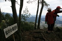 * 縦走 向山連山 * 花の縦走道