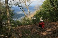 * 縦走 向山連山 * 花の縦走道