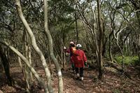 * 縦走 向山連山 * 花の縦走道