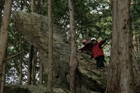 * 縦走 向山連山 * 花の縦走道