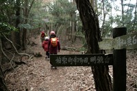 * 縦走 向山連山 * 花の縦走道