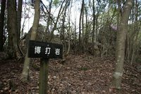 * 縦走 向山連山 * 花の縦走道