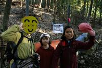 * 縦走 向山連山 * 花の縦走道
