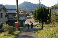 * 縦走 向山連山 * 花の縦走道