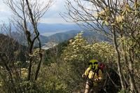* 縦走 向山連山 * 花の縦走道