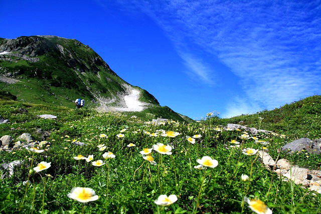 * 神の道 立山三山縦走 * 雄山~大汝山~富士ノ折立