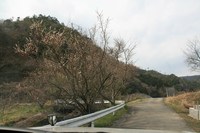 *NEWテント デビュー・・まさか・・*