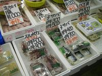* 吸い込まれるお店 *