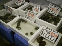 * 吸い込まれるお店 *