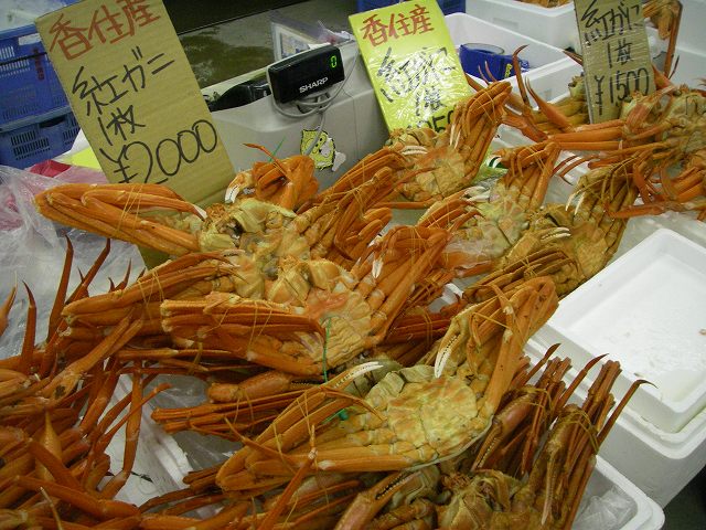 * 吸い込まれるお店 *