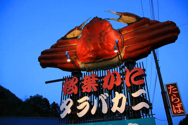 * 吸い込まれるお店 *