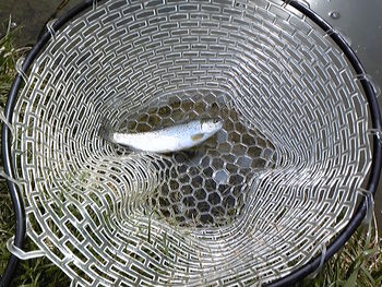 癒されに、おくとねへ。