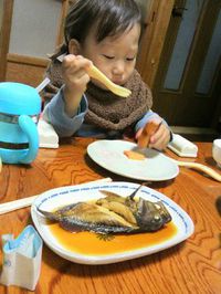 ガシラの煮付け  初めて息子が親父の釣った魚を食べる！