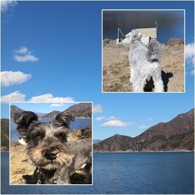 西湖Camp! 西湖Camp!