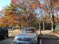 2014.11那須野が原で紅葉キャンプ